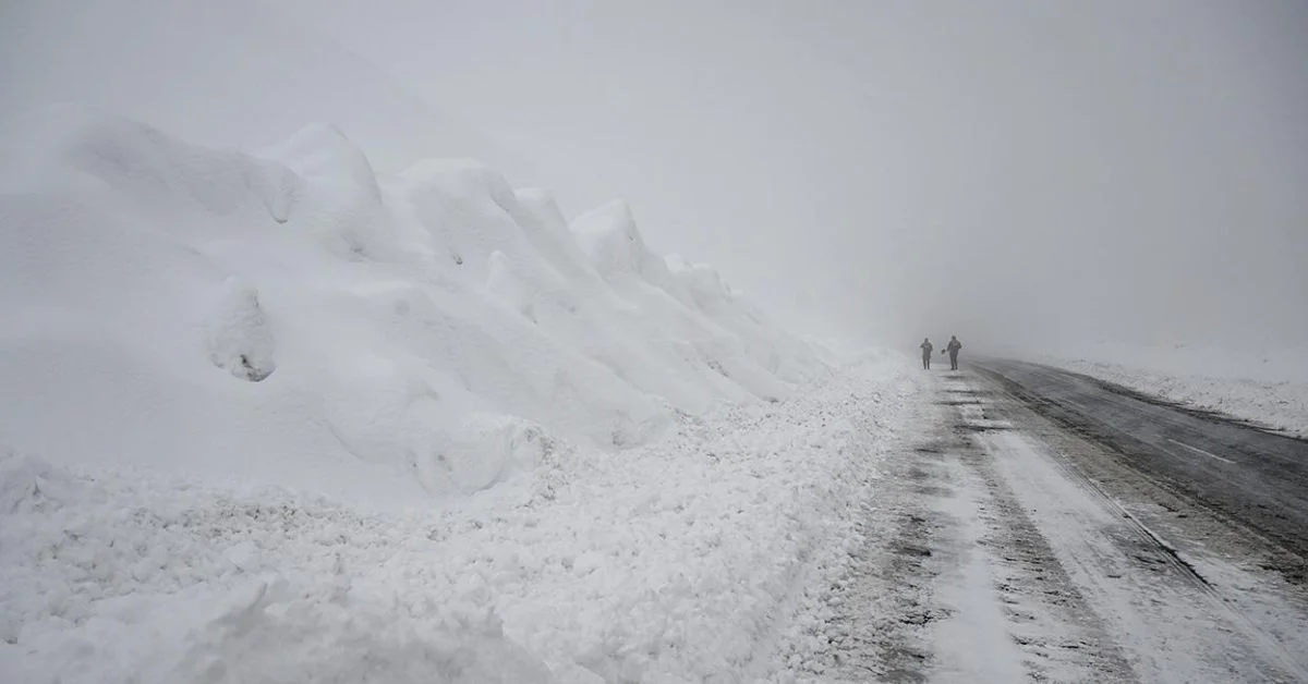 Ardahan’da çığ felaketi: İş makineleri kar altında