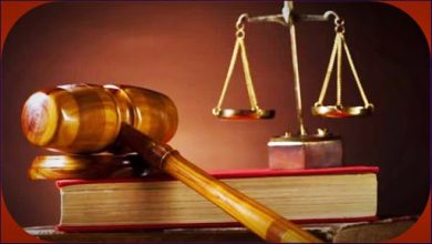 Hekim Birliği Sendikası Genel Başkanı Uzman Dr. Hatice Çerçi Balcı,