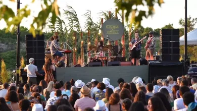 Sergi, festival ve sinema bir arada