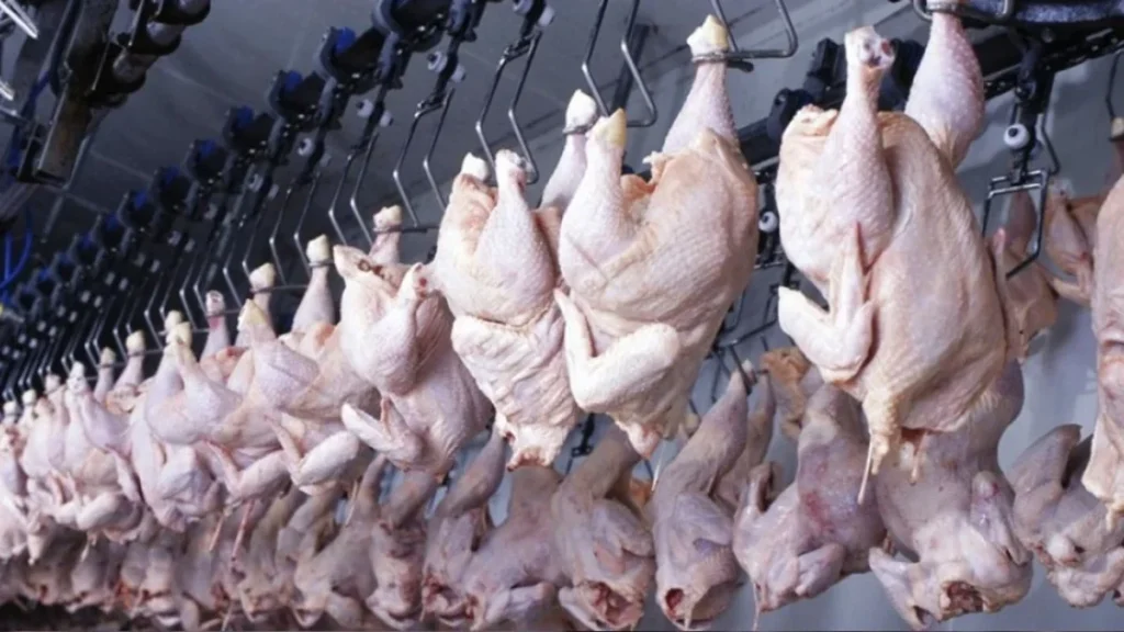 Beyaz et operasyonunda kayyım kararları kaldırıldı