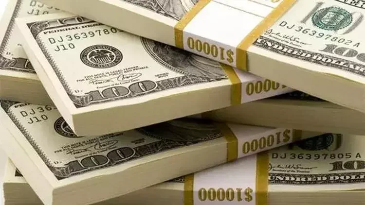 Döviz piyasasında yükseliş sürüyor: Dolar 46 lira sınırında