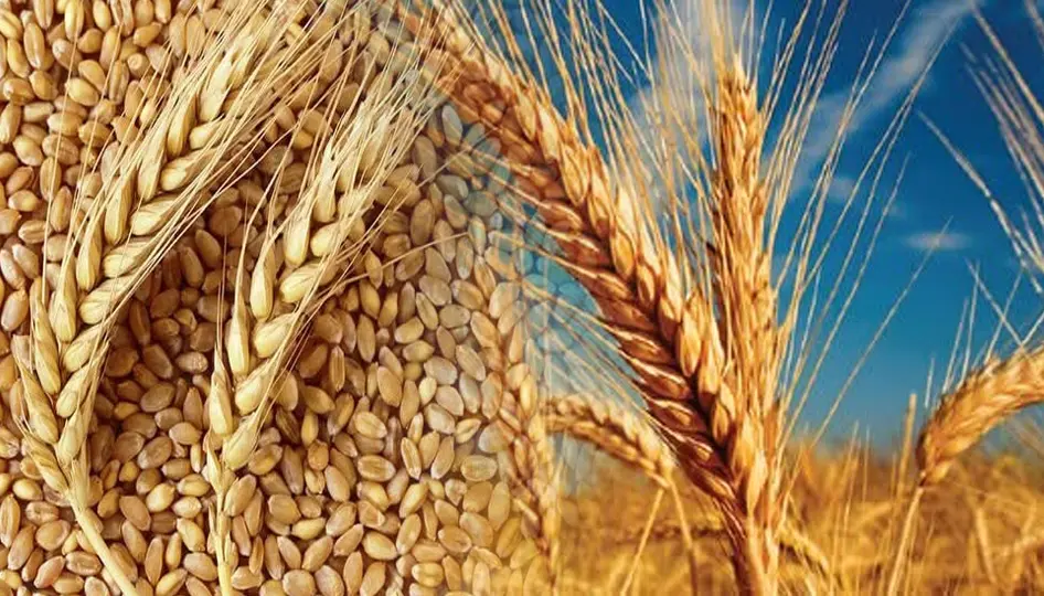 2025'te 83,2 milyar dolarlık hasıla