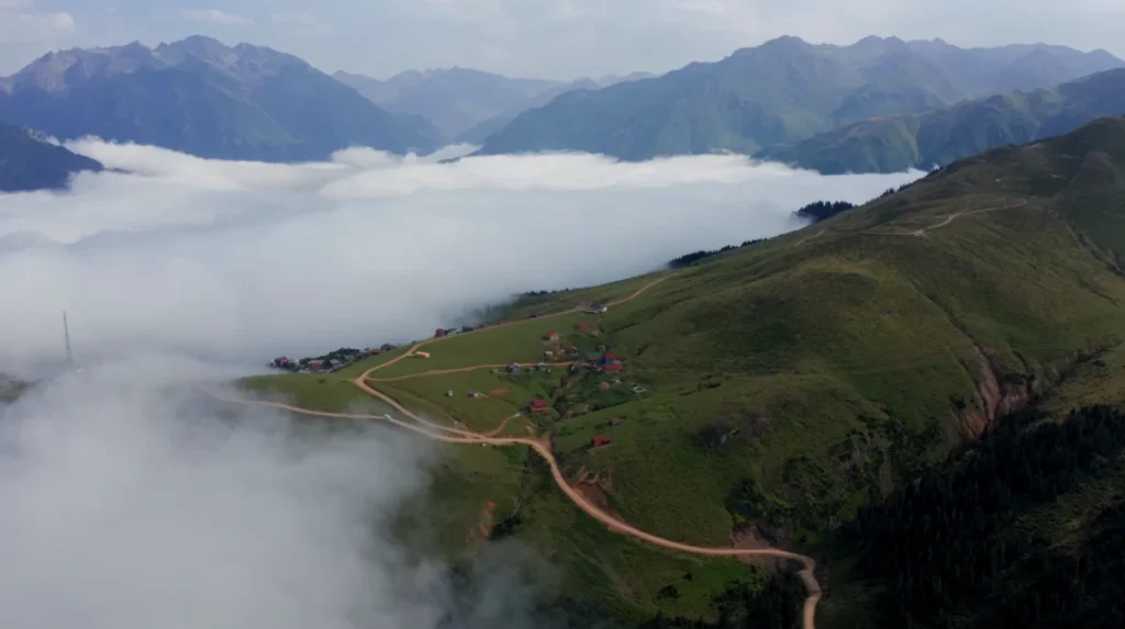COP31 Türkiye için özel şarkı